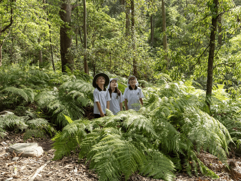 Lindfield Preparatory (K-6) Open Day